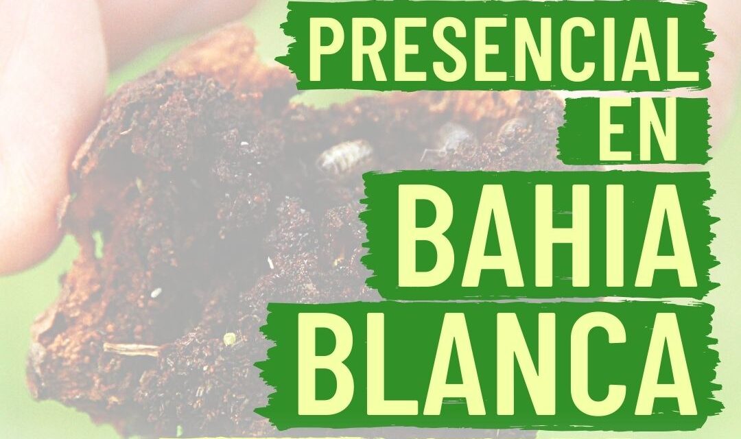 Taller de Sistemas Agroforestales Sintrópicos: Un viaje al corazón de la agroecología