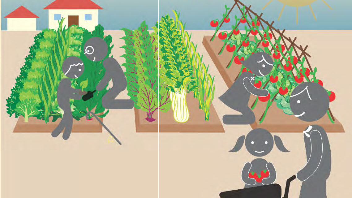 Manual de huerta agroecológica de ProHuerta / INTA