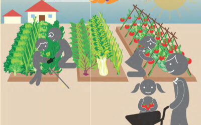 Manual de huerta agroecológica de ProHuerta / INTA