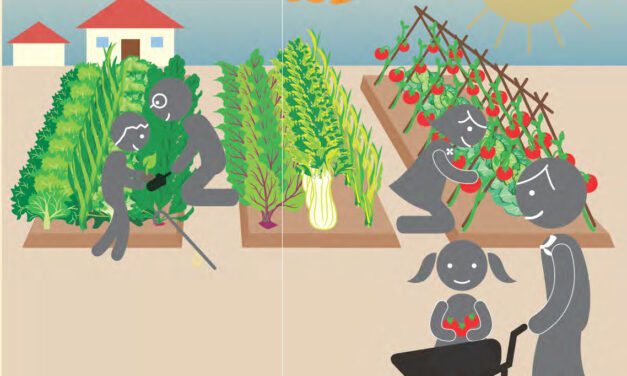 Manual de huerta agroecológica de ProHuerta / INTA