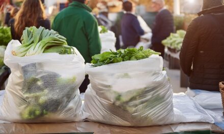 Declaración de interés municipal para la comercialización de combos universitarios en Posadas