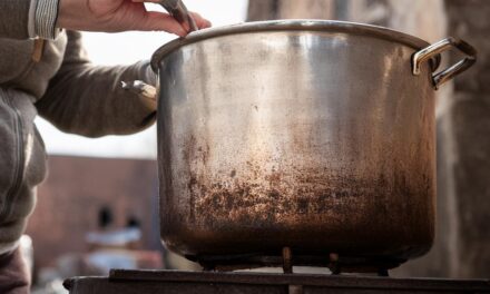 Taller sobre alimento, política y comunidad