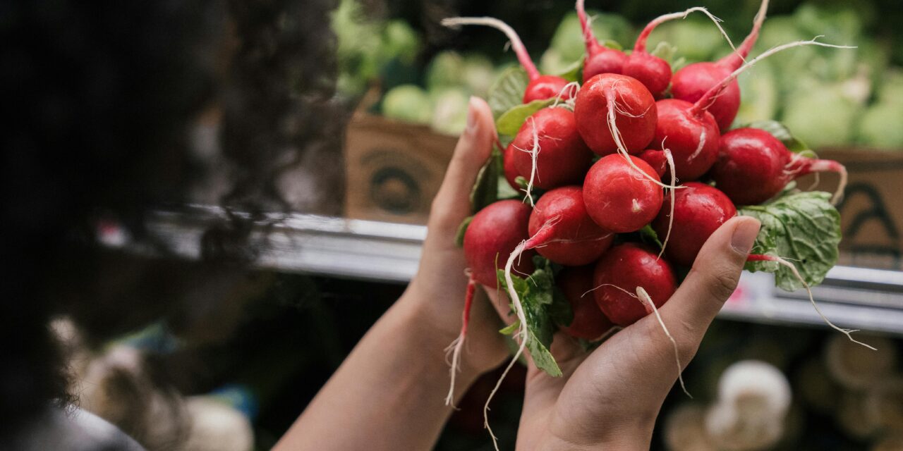 VII curso internacional de la Sociedad Científica Latinoamericana de Agroecología