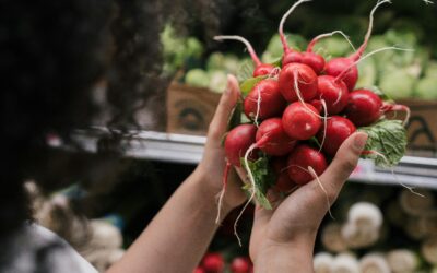 VII curso internacional de la Sociedad Científica Latinoamericana de Agroecología