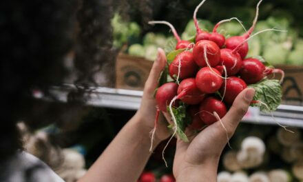 VII curso internacional de la Sociedad Científica Latinoamericana de Agroecología