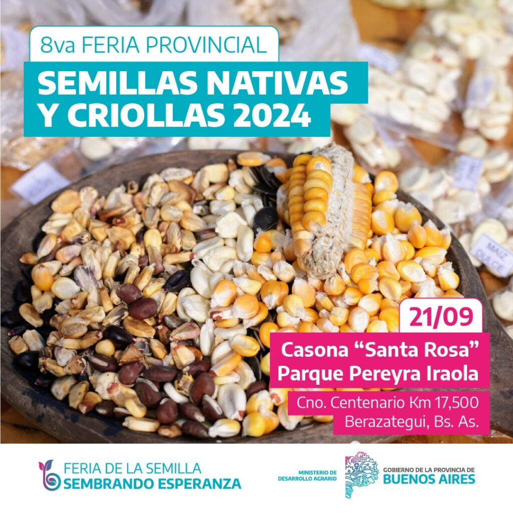 Fotografía de un plato lleno de semillas nativas y criollas, con maíz, porotos y otras variedades de granos en primer plano. En el fondo, varias bolsas de semillas están dispuestas sobre una mesa. El flyer también incluye información sobre la 8va Feria Provincial de Semillas Nativas y Criollas 2024, que se realizará el 21 de septiembre en la Casona "Santa Rosa", Parque Pereyra Iraola, Berazategui, Buenos Aires.