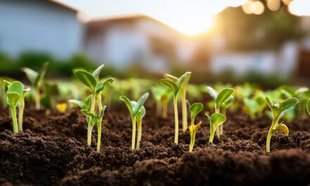Biofertilizantes naturales: una opción sostenible en Hurlingham