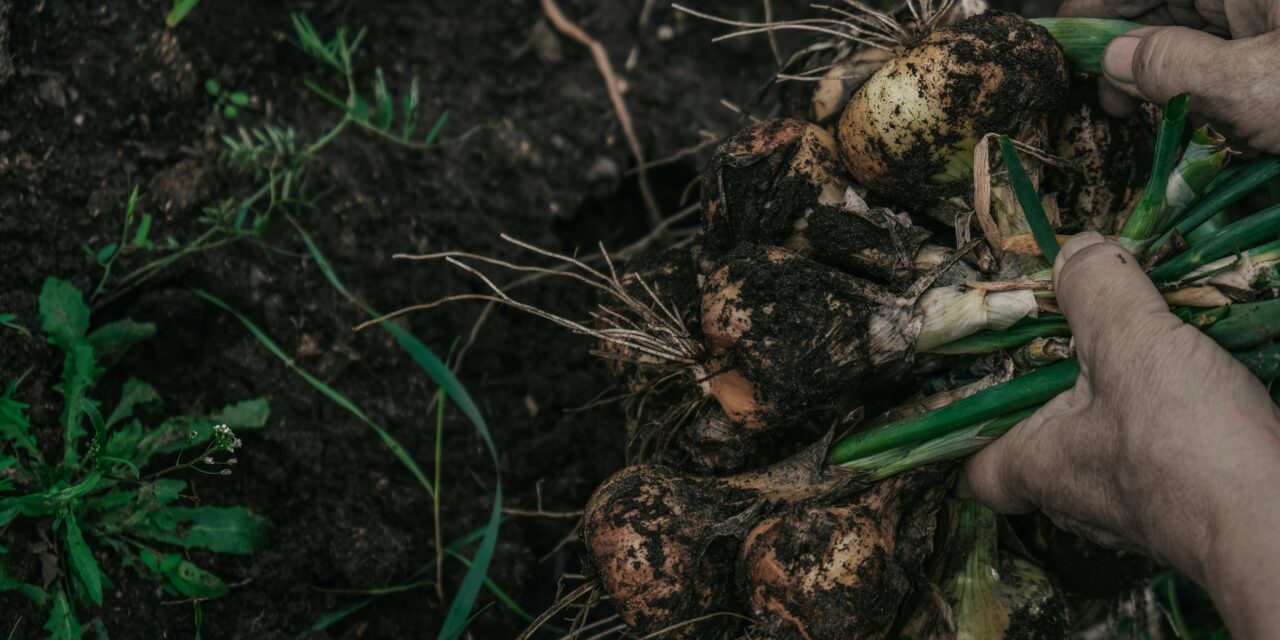 Prórroga para la entrega de trabajos en el 1° Congreso Provincial de Agroecología