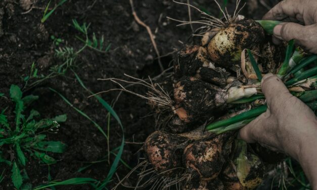 Prórroga para la entrega de trabajos en el 1° Congreso Provincial de Agroecología