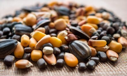 Vuelve la Feria Provincial de Semillas Nativas y Criollas de Buenos Aires