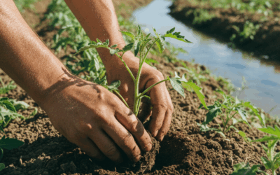 Promueven la agroecología para una producción sin contaminantes