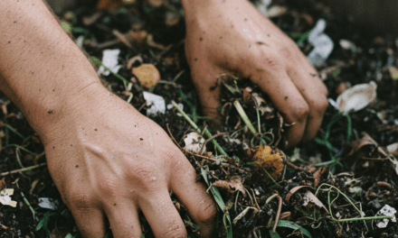 Compostaje y gestión ambiental en mar del plata
