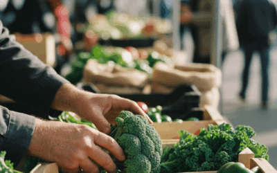 Tolhuin se prepara para su 2° Festival Provincial de Agroecología