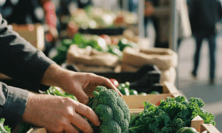 Tolhuin se prepara para su 2° Festival Provincial de Agroecología