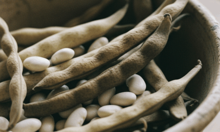 Taller de conservación de semillas en la Huerta Comunidad Ferroviaria
