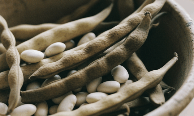 Taller de conservación de semillas en la Huerta Comunidad Ferroviaria