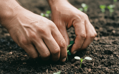 Soberanía alimentaria en Pergamino: ruralidad y trabajo