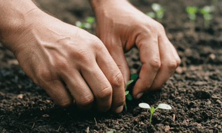 Soberanía alimentaria en Pergamino: ruralidad y trabajo