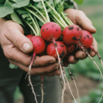 Qué es la agricultura sostenida por la comunidad, el modelo que busca transformar a los consumidores en prosumidores