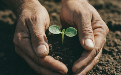 Se viene el 2° Congreso Provincial de Agroecología en Junín