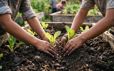 Más de diez municipios de Misiones fortalecen huertas escolares y comunitarias