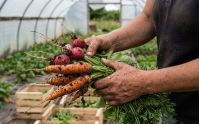 Dolavon produce: una experiencia agroecológica liderada por mujeres en Chubut