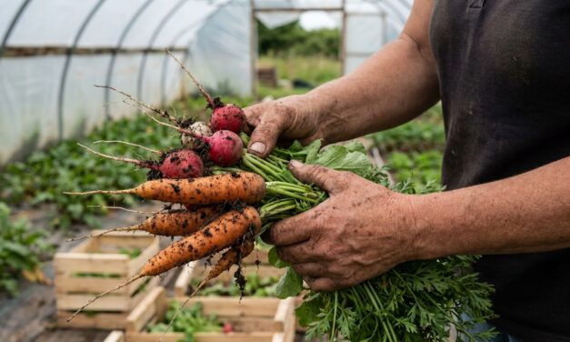 Dolavon produce: una experiencia agroecológica liderada por mujeres en Chubut