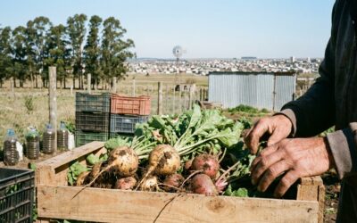 De Japón a Tandil: la revolución de la agricultura natural en el campo bonaerense