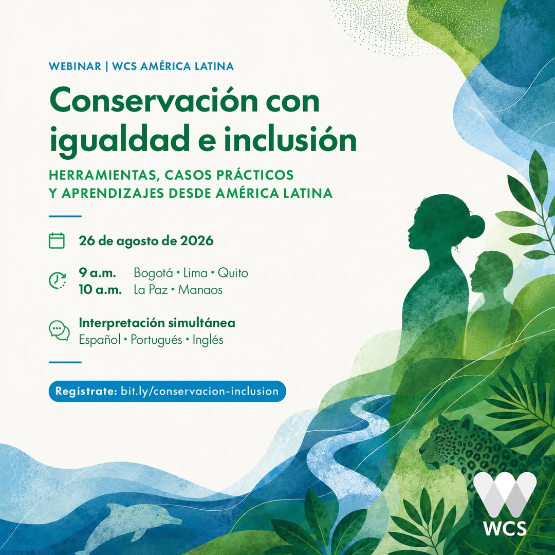 Flyer o material adjunto