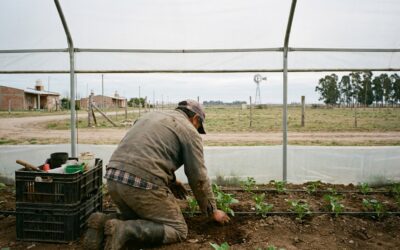 La ONU lanza una iniciativa global para financiar la restauración y el manejo de los pastizales