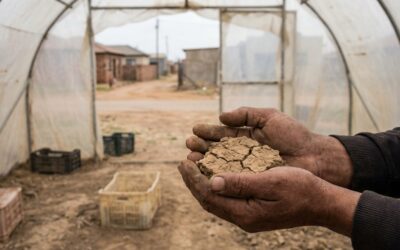 Tres crisis ambientales avanzan en simultáneo y amenazan el equilibrio del planeta