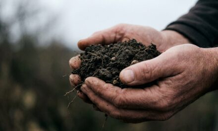 El saber ancestral de Nêgo Bispo para reconectar con nuestra tierra