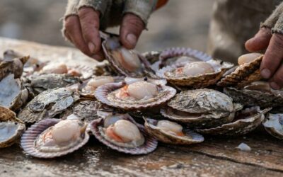 Investigadores detectan ondas internas en el mar patagónico que favorecen la pesca artesanal