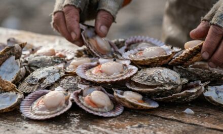Investigadores detectan ondas internas en el mar patagónico que favorecen la pesca artesanal