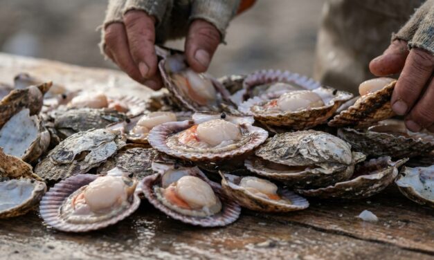 Investigadores detectan ondas internas en el mar patagónico que favorecen la pesca artesanal
