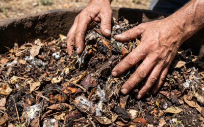 Cómo elaborar bokashi y biopreparados para revitalizar tu huerta urbana