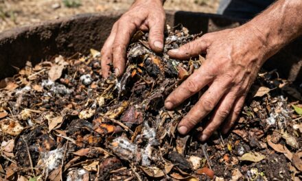 Cómo elaborar bokashi y biopreparados para revitalizar tu huerta urbana