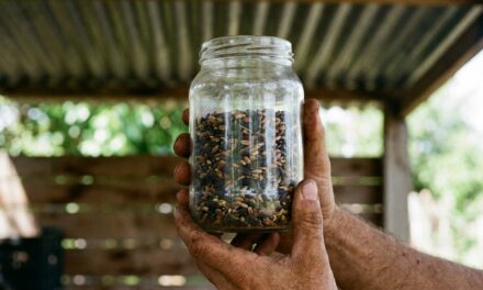 La Escuela de Agroecología enseñará a conservar semillas en La Plata
