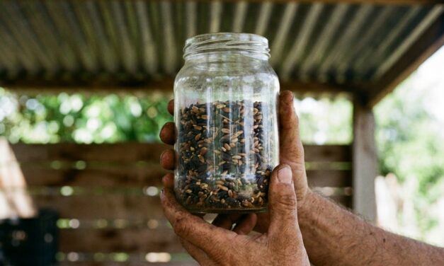 La Escuela de Agroecología enseñará a conservar semillas en La Plata