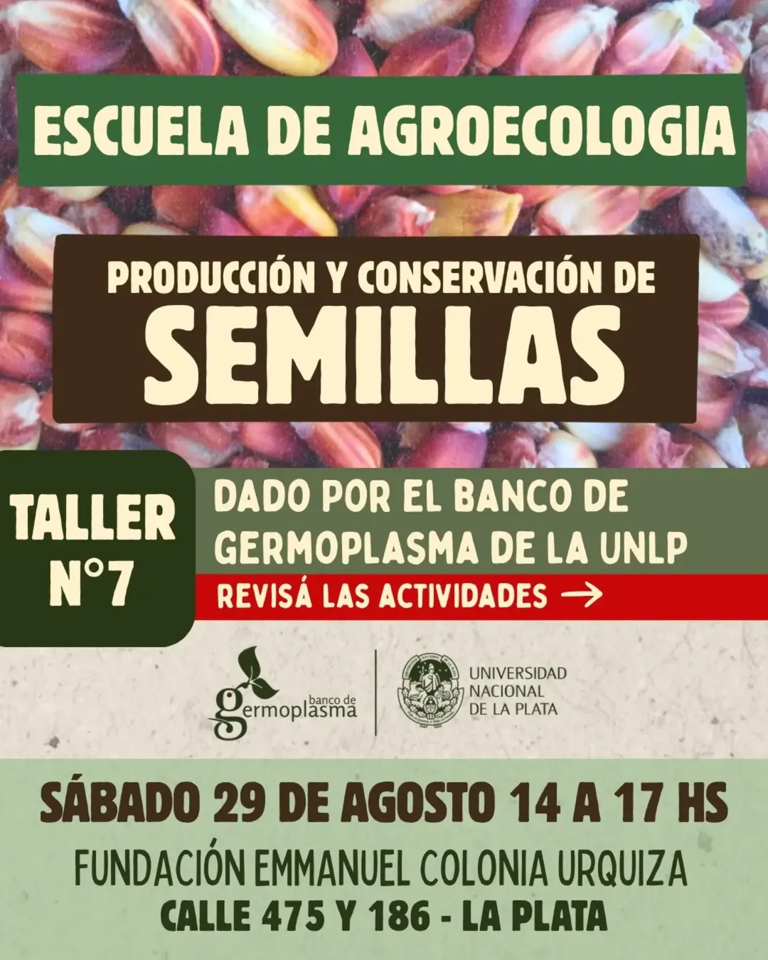 Flyer o material adjunto