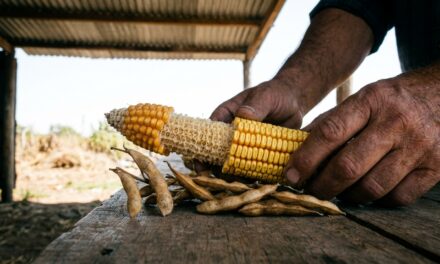 Productores de soja, maíz y leche orgánica exponen sus casos en FAUBA