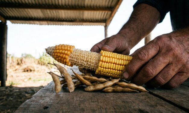 Productores de soja, maíz y leche orgánica exponen sus casos en FAUBA