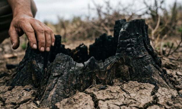 Presión agroindustrial en el Senado para frenar la ley de ecocidio