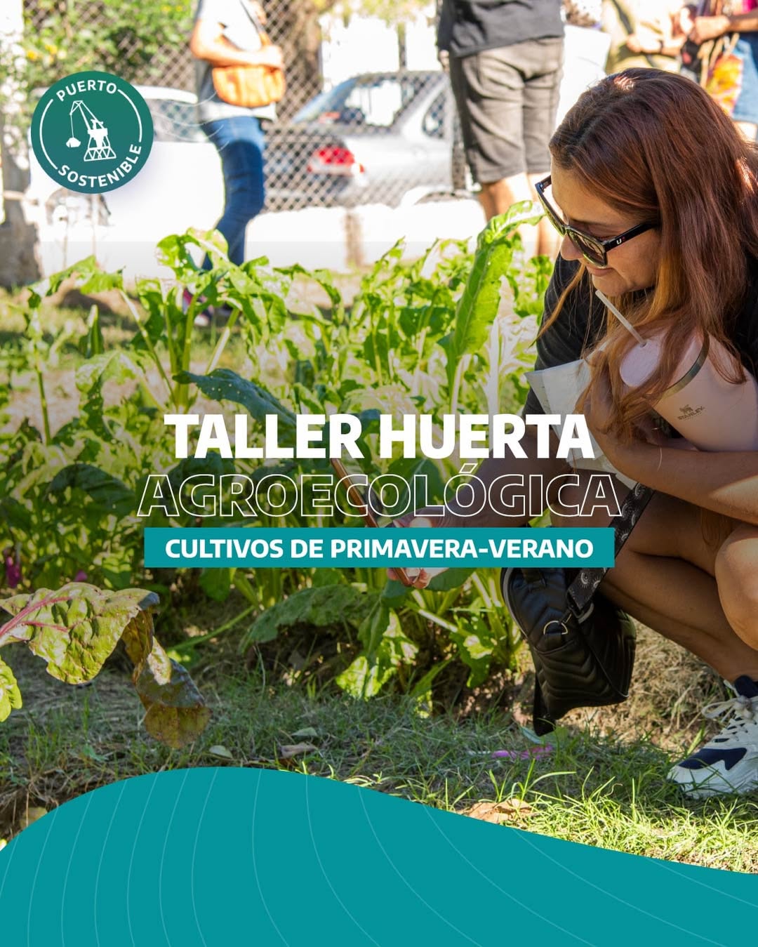 Flyer o material adjunto