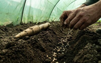 El CEA 10 de Saavedra lanza un curso gratuito de huerta agroecológica