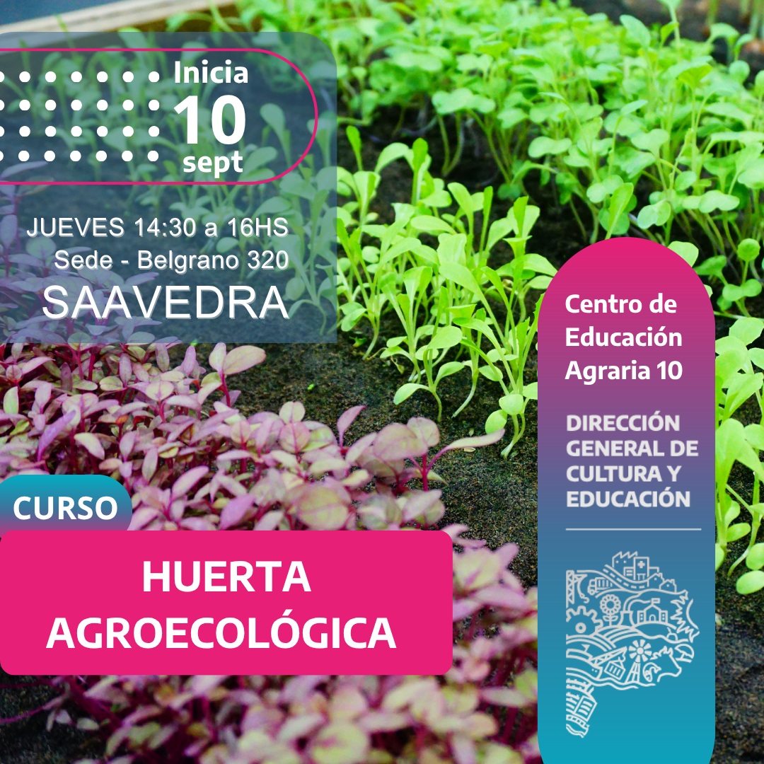 Flyer o material adjunto