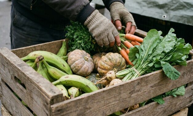 Un experto colombiano expone sobre organización agroecológica en red