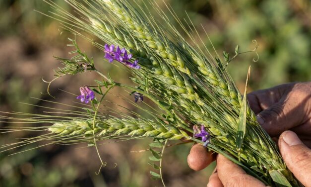 Reprogramaron el 2° Congreso Provincial de Agroecología en Junín