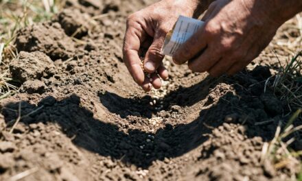 Cerrito convoca a una capacitación para iniciar huertas agroecológicas