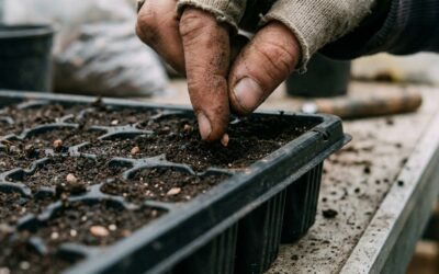 Parque Saavedra será sede de un taller gratuito sobre siembra de primavera